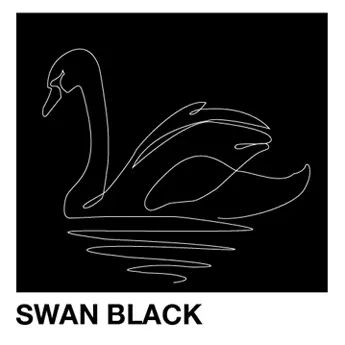 Black Slidle Puzzle